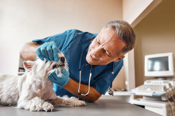 Best Emergency Gum Treatment in Weaver, AL